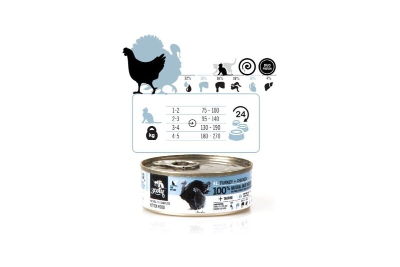 3Coty alimento umido con tacchino e pollo per gattini, 80 g 1