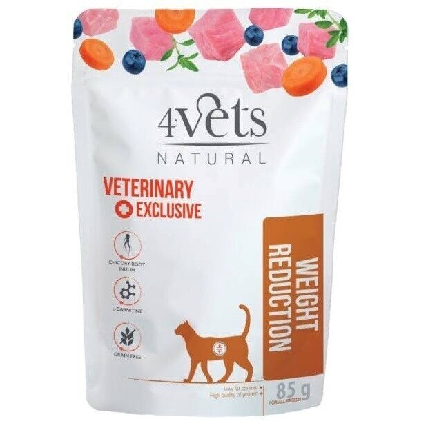 4Vets Natural Weight Reduction kassikonserv kalkuniga, 85 g