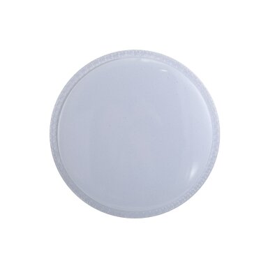 Lubinis Plafonas Borla PLF-63748-M-CL