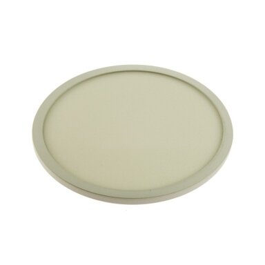 Montuojama LED Panelė Newround downlight 5W WW