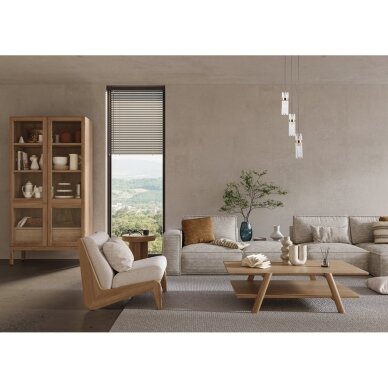 Pakabinamas šviestuvas Taraso PND-40760-3-BK-HBR 1 Pakabinamas šviestuvas Taraso PND-40760-3-BK-HBR 1