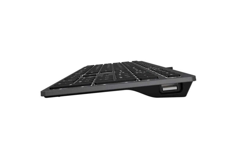 A4Tech FSTYLER FX60H kabelgebundene Tastatur, schwarz-grau, mit weißen beleuchteten Tasten 1