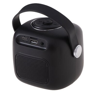 Adler AD 1199 juoda karaoke kolonėlė su mikrofonu - SD/USB/AUX/Bluetooth 2 Adler AD 1199 juoda karaoke kolonėlė su mikrofonu - SD/USB/AUX/Bluetooth 2