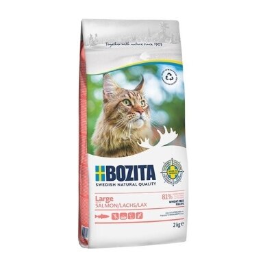 BOZITA Large Wheat Free Salmon - sausas ėdalas didelėms ir ilgaplaukėms katėms - 2 kg