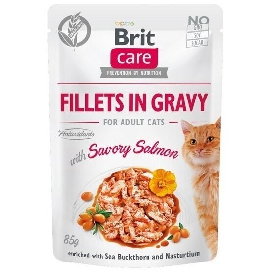 BRIT Care lašišos filė padaže - šlapias kačių ėdalas - 85 g