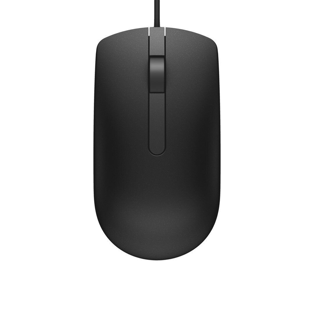 DELL MS116 laidinė optinė pelė, juoda, 1000 DPI, USB DELL MS116 laidinė optinė pelė, juoda, 1000 DPI, USB