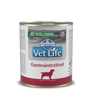 Farmina Vet Life Diet šunims virškinimo traktui 300 g
