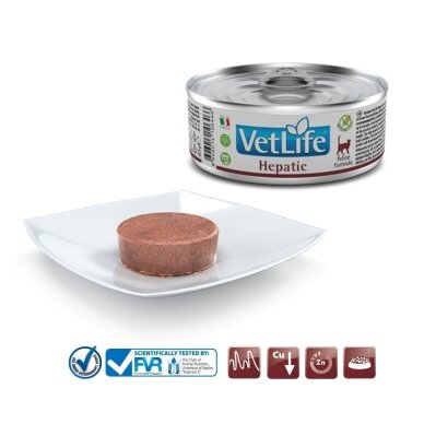FARMINA Vet Life Natural Diet Cat Hepatic - šlapias katėms skirtas ėdalas - 85 g 1 FARMINA Vet Life Natural Diet Cat Hepatic - šlapias katėms skirtas ėdalas - 85 g 1