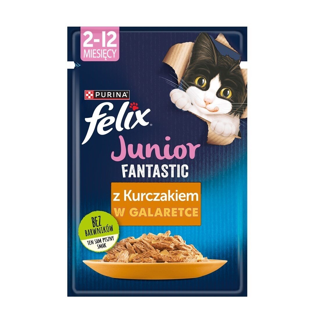 Felix Fanstastic Junior - šlapias kačių ėdalas - 85 g