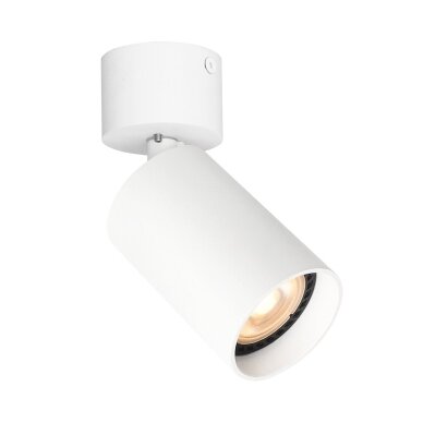 Kryptiniai Šviestuvai Lafin SPL-23436-1R-WH