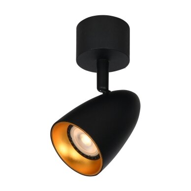 Kryptiniai Šviestuvai Tino SPL-36748-1R-BK-GD Kryptiniai Šviestuvai Tino SPL-36748-1R-BK-GD