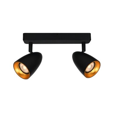 Kryptiniai Šviestuvai Tino SPL-36748-2-BK-GD