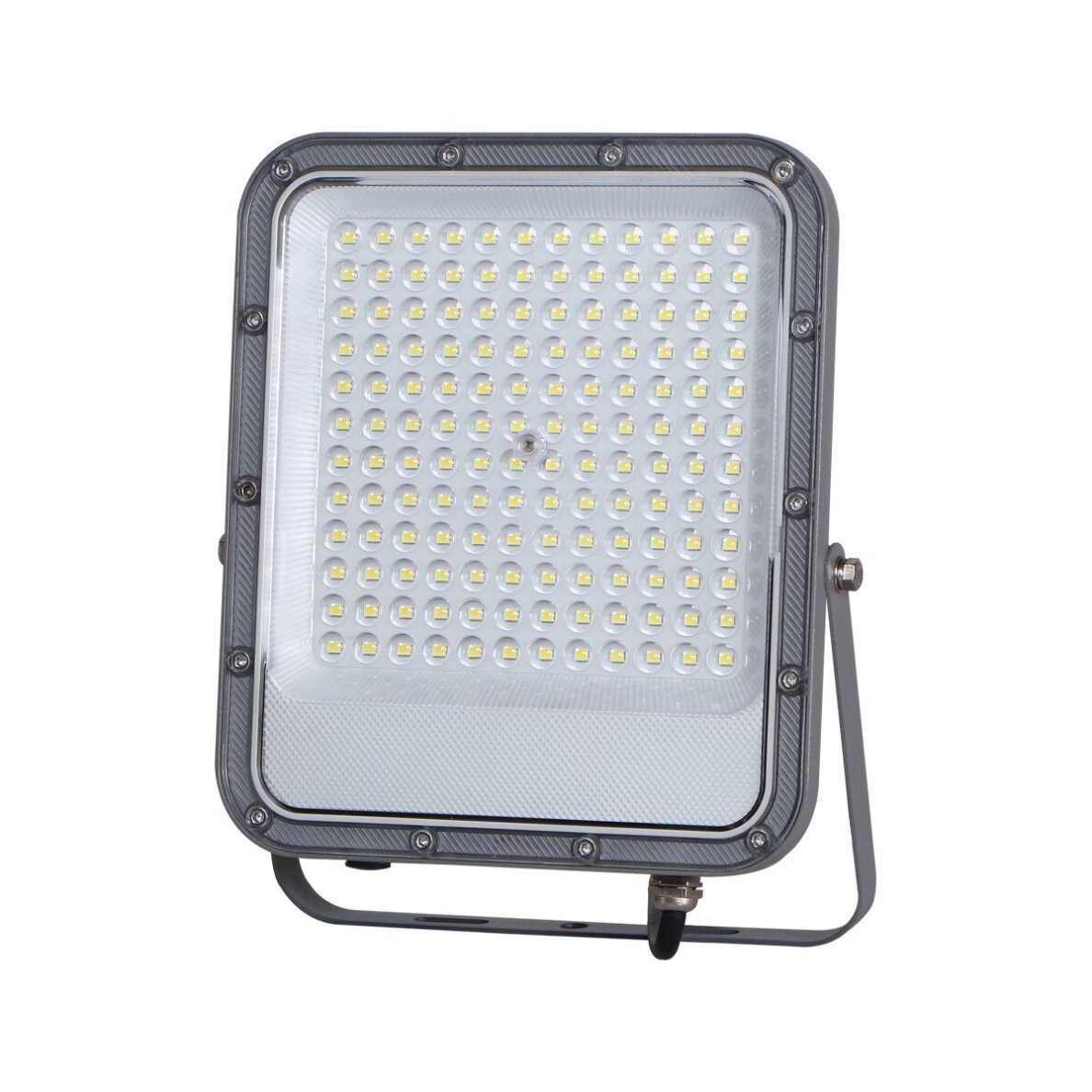 Lauko Prožektorius Timbo FD-23913-100W 1