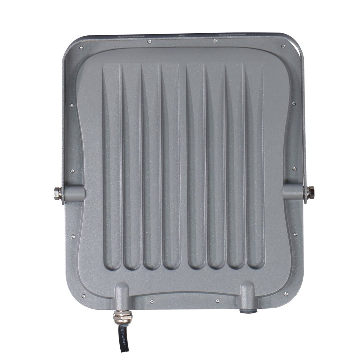 Lauko Prožektorius Timbo FD-23913-100W 2