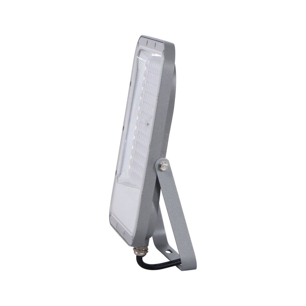 Lauko Prožektorius Timbo FD-23913-100W 3
