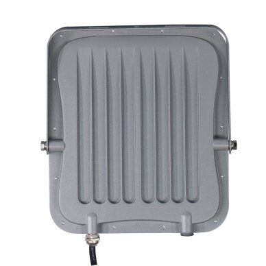 Lauko Prožektorius Timbo FD-23913-100W 2
