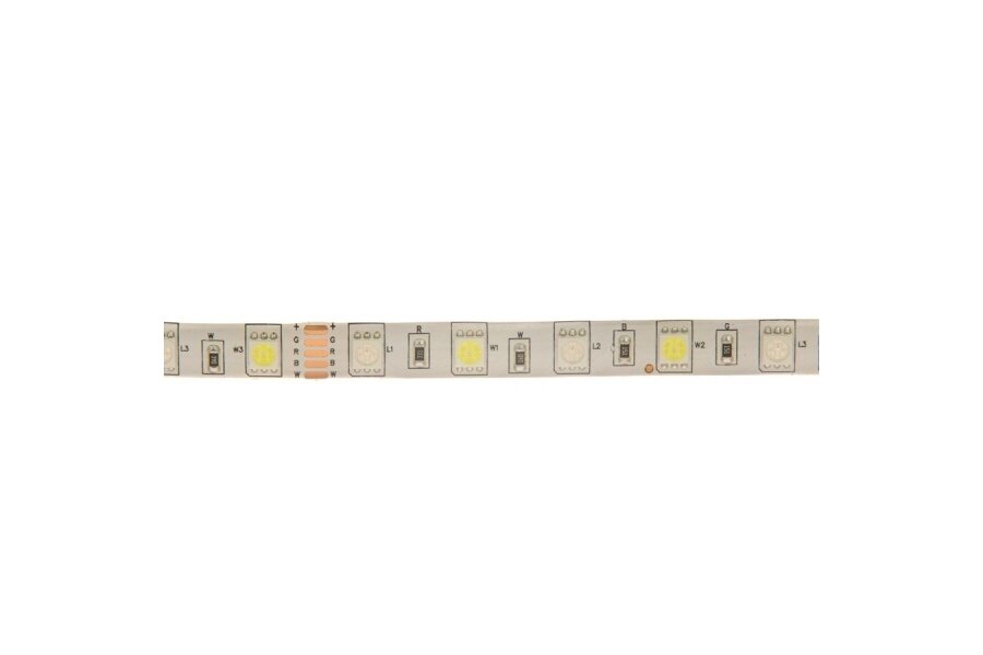 Taśma LED 12W RGB+W IP65