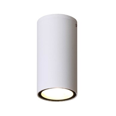 Lubinis lauko šviestuvas Fano 2002 4K, sandblasted white, LED, 3W 1