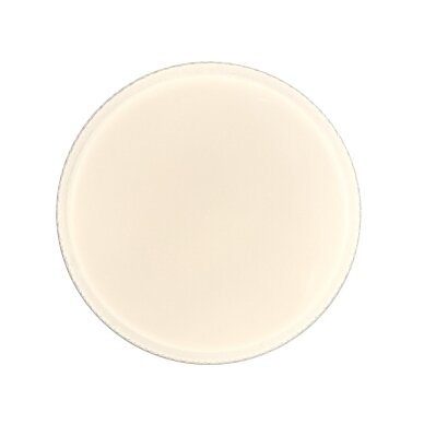 Lubinis Plafonas Borla PLF-63748-XL-CL 1