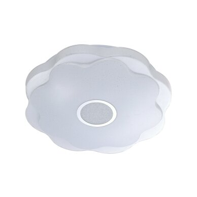Lubinis Plafonas Normi PLF-85740-L-CL 1