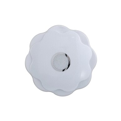 Lubinis Plafonas Normi PLF-85740-S-CL