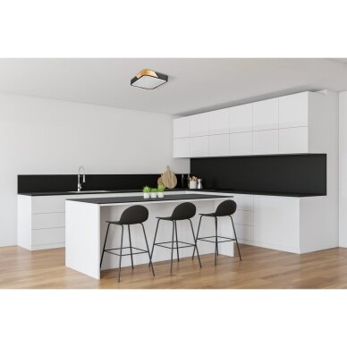 Lubinis Plafonas Santer PLF-13187-BK-WO 1