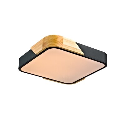 Lubinis Plafonas Santer PLF-13187-BK-WO 2