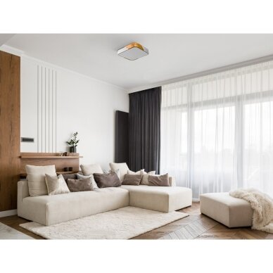 Lubinis Plafonas Santer PLF-13187-WH-WO 1 Lubinis Plafonas Santer PLF-13187-WH-WO 1