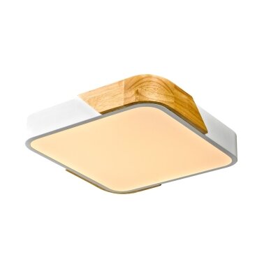 Lubinis Plafonas Santer PLF-13187-WH-WO 2
