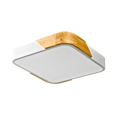 Lubinis Plafonas Santer PLF-13187-WH-WO Lubinis Plafonas Santer PLF-13187-WH-WO