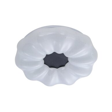 Lubinis Plafonas Sonia PLF-45372-S-CL 1