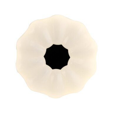 Lubinis Plafonas Sonia PLF-45372-S-CL 2
