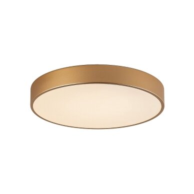Lubinis šviestuvas Orbital 5361-835RC-GD-4, auksinė smėliuota, LED, 40 cm 1