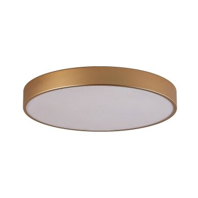 Lubinis šviestuvas Orbital 5361-860RC-GD-4, auksinė smėliuota, LED, 60 cm Lubinis šviestuvas Orbital 5361-860RC-GD-4, auksinė smėliuota, LED, 60 cm