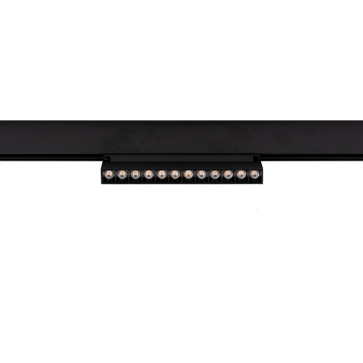 Magnetinis šviestuvas Norman TRM-79392-12W-3K-BK