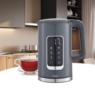 Maestro MR-024-GREY elektrinis virdulys 1