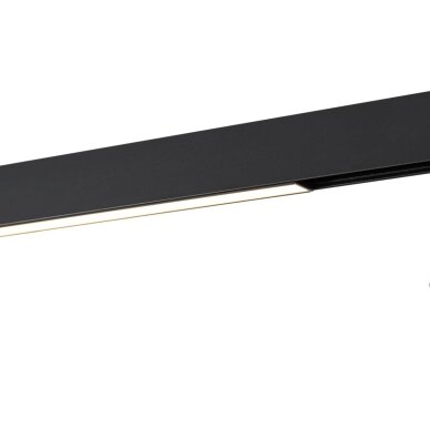 Magnetinis šviestuvas Mans TRM-83746-20W-3K 1