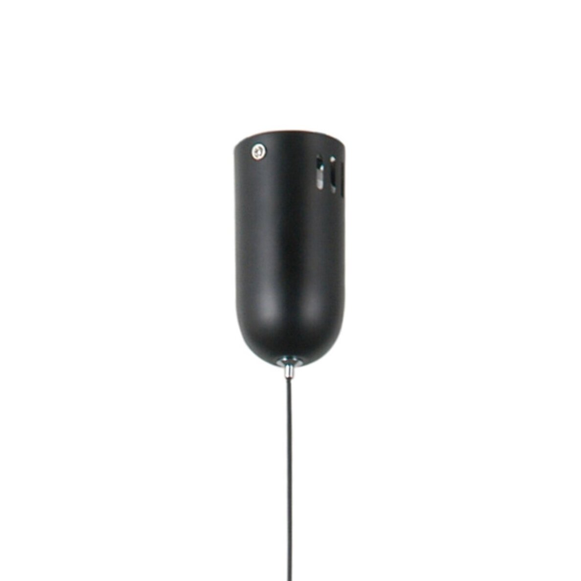 Pakabinamas šviestuvas Pedro PND-34405-1-BK 3