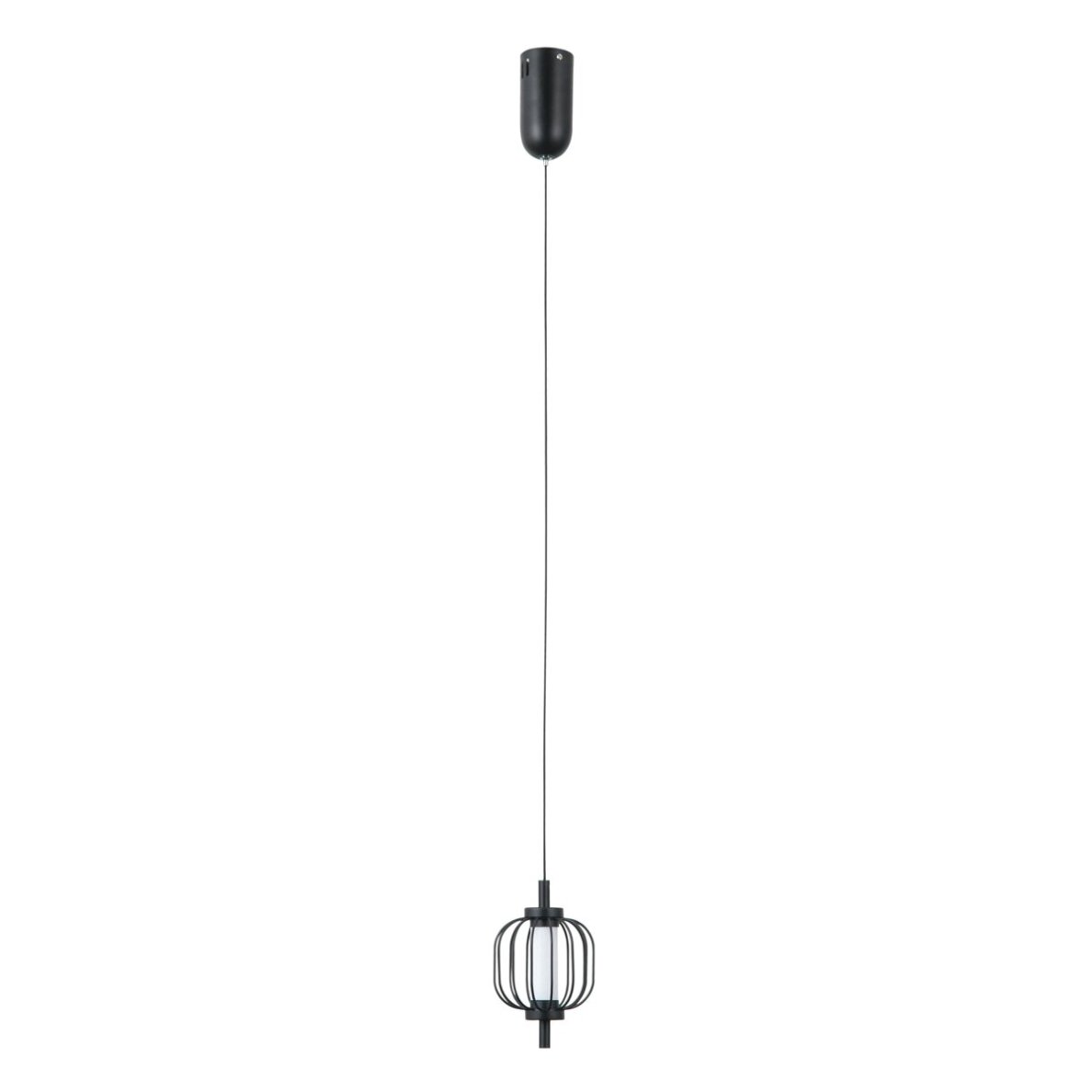 Pakabinamas šviestuvas Pedro PND-34405-1-BK