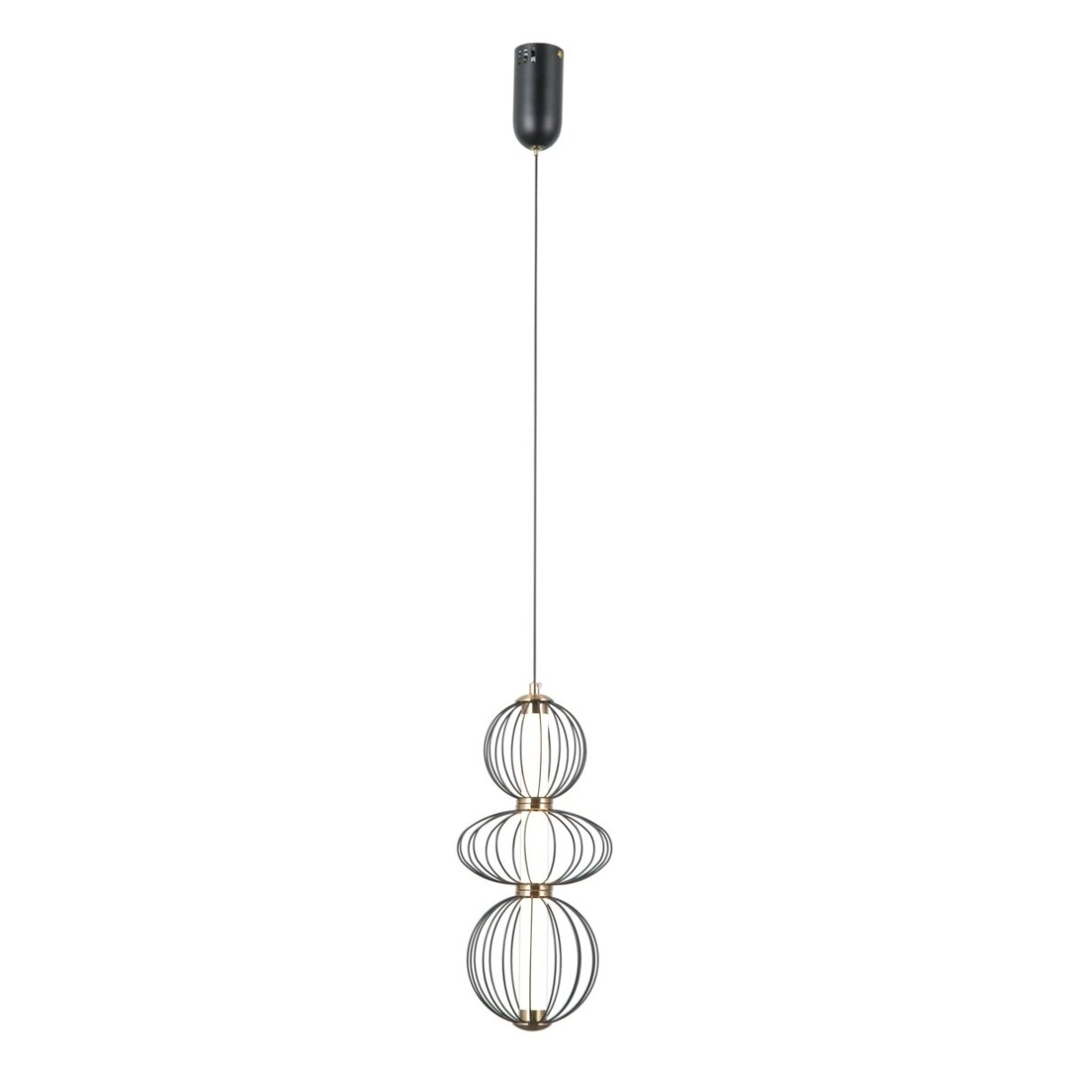 Pakabinamas šviestuvas Rabel PND-344221-3V-BK 2