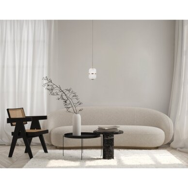 Pakabinamas šviestuvas Alani PND-34375-1-HBR 1 Pakabinamas šviestuvas Alani PND-34375-1-HBR 1