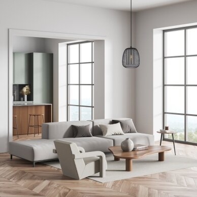Pakabinamas šviestuvas Amiria PND-28612-BK-SG 1