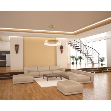 Pakabinamas šviestuvas Giulia 5304-840RP-GD-3, auksinis, LED, 48 cm 1