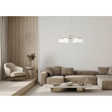 Pakabinamas šviestuvas Montiela PND-34374-6-HBR 1