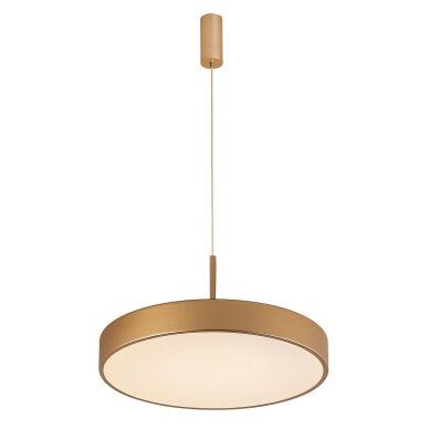 Pakabinamas šviestuvas Orbital 5361-830RP-GD-3, auksinė smėliuota, LED, 40 cm 2