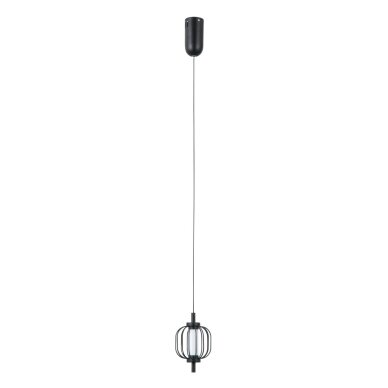Pakabinamas šviestuvas Pedro PND-34405-1-BK Pakabinamas šviestuvas Pedro PND-34405-1-BK