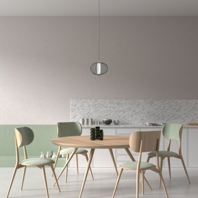 Pakabinamas šviestuvas Rabel PND-344221-1-BK 1