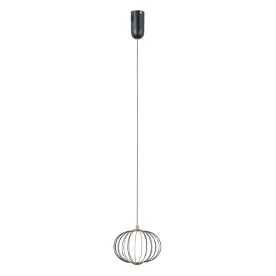 Pakabinamas šviestuvas Rabel PND-344221-1-BK 3