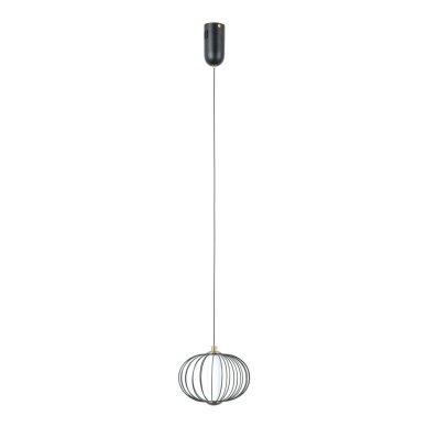 Pakabinamas šviestuvas Rabel PND-344221-1-BK Pakabinamas šviestuvas Rabel PND-344221-1-BK