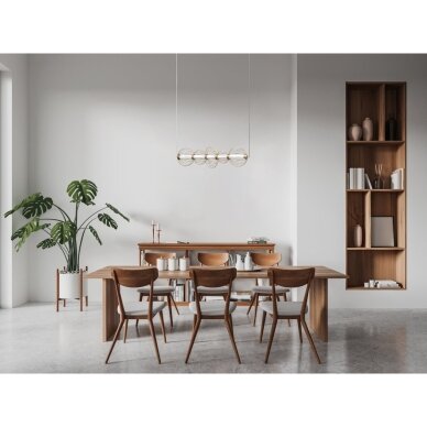Pakabinamas šviestuvas Rabel PND-344221-5-HBR 2